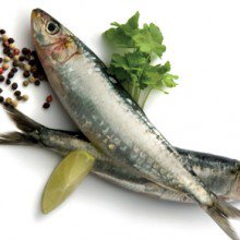 fresh-sardines