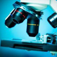 Microscope