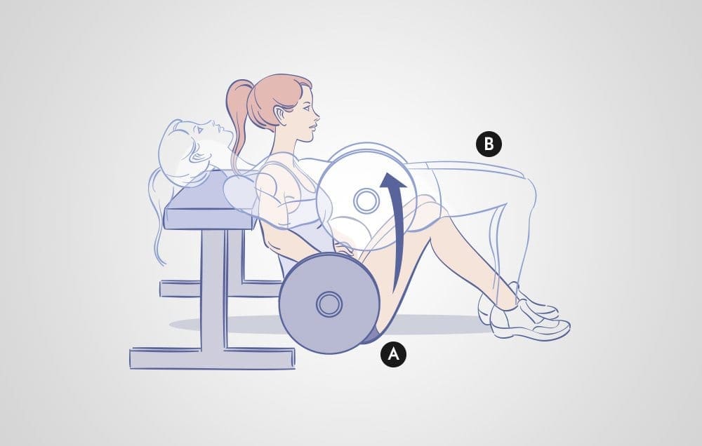 Barbell hip thrust workout move